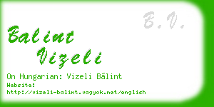 balint vizeli business card