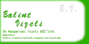 balint vizeli business card